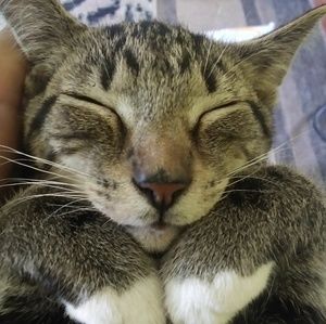 Meet your Posher, Sienna